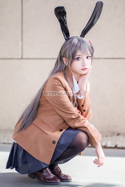 Seishun Buta Yarou wa Bunny Girl Senpai no Yume wo Minai  สาวอนิเมะ,  ห้องโอตาคุ, อนิเมะ